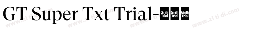 GT Super Txt Trial字体转换